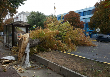 Непогода 24-25 сентября