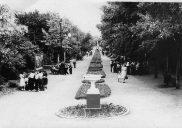 Центральная аллея в парке