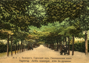 Гимназическая аллея парка Горького.