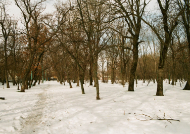 Таганрог. Парк Горького (зимний вариант)