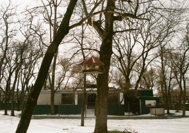 Таганрог. Парк Горького (зимний вариант)