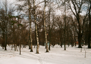 Таганрог. Парк Горького (зимний вариант)