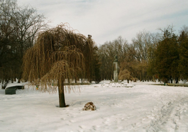 Таганрог. Парк Горького (зимний вариант)