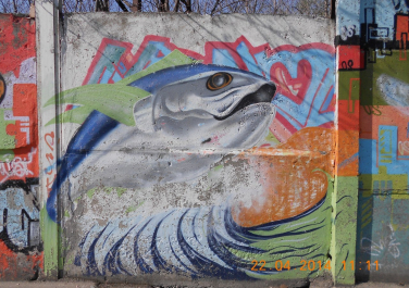 Граффити в Таганроге