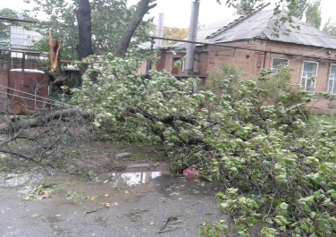 Последствия Урагана, улица Дзержинского, Таганрог