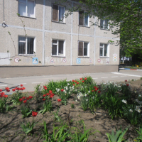  Детский сад № 74, улица Борко, 8/2