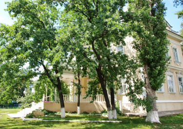 Вёшенская, дом-музей Шолохова