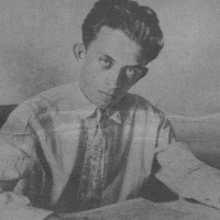 Штительман Михаил Ефимович (1911-1941 гг.)